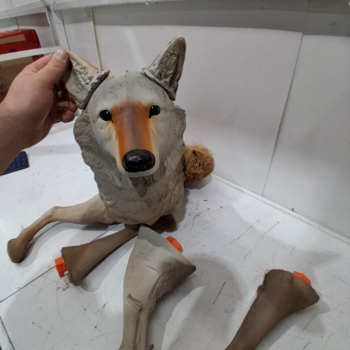 FLAMBEAU LONE HOWLER COYOTE DECOY (5985MS-1) image 3