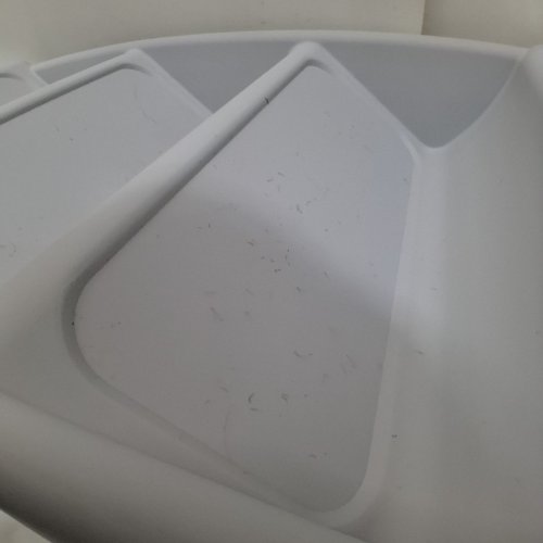 PETSAFE COZYUP 4 STEP FOLDING PET STAIRS - GREY image 3