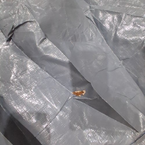 SOJAG WINTER COVER FOR SUN SHELTERS - 12FT X 14FT - GREY - (MODEL: 135-9166507) image 3
