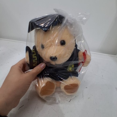 JMYHOAM GRADUATION BEAR DOLL- 9" - BROWN/BLACK image 3