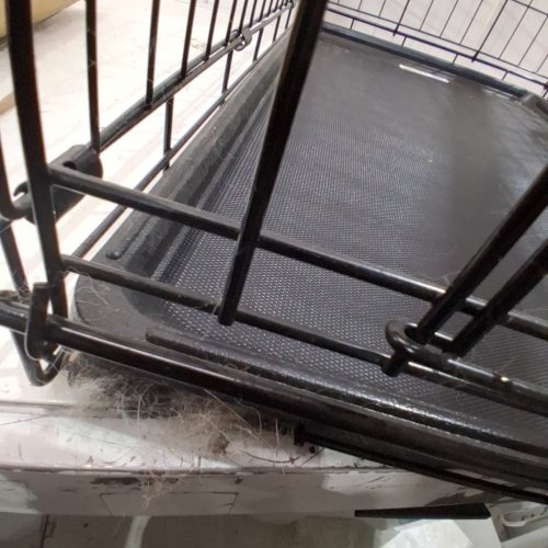 NEW WORLD PET PRODUCTS 30" FOLDING DOUBLE DOOR DOG CRATE - 30" X 19" X 21" - BLACK (MODEL: B30DD) image 3