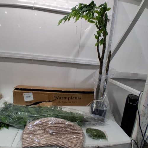 WARMPLANTS ARTIFICIAL FICUS TREE WITH POT MOSS AND WOVEN BASKET- 7FT - FICUS GREEN/BLACK POT image 2