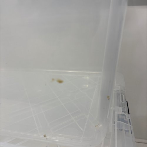 3PK INSTAVIEW DOUBLE LOCKING LID SYSTEM CONTAINER - 45 QT - CLEAR image 4