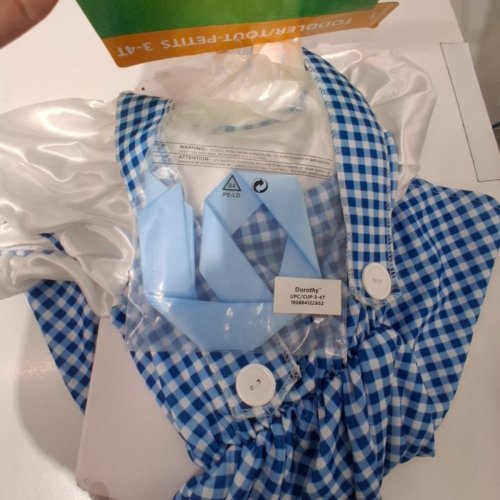 3PC TODDLER RUBIES WIDARD OF OZ DOROTHY COSTUME - 3-4T - BLUE AND WHITE image 3