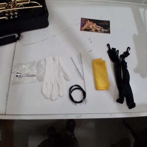 EASTAR GOLD TRUMPET BRASS ETR-380 STANDARD BB TRUMPET SET FOR STUDENT BEGINNER WITH HARD CASE, 7 C MOUTHPIECE, VALVE OIL AND TRUMPET CLEANING KIT image 3