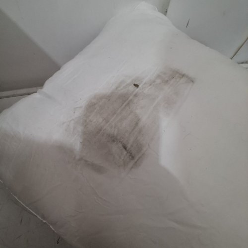 MELLOW PLOOF PILLOW - KING, 20" X 36" - LAVENDER image 5