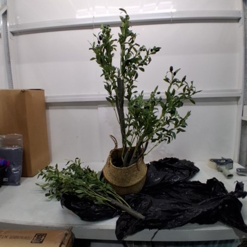 MOSADE ARTIFICIAL OLIVE TREE - 10FT - GREEN\BROWN image 2