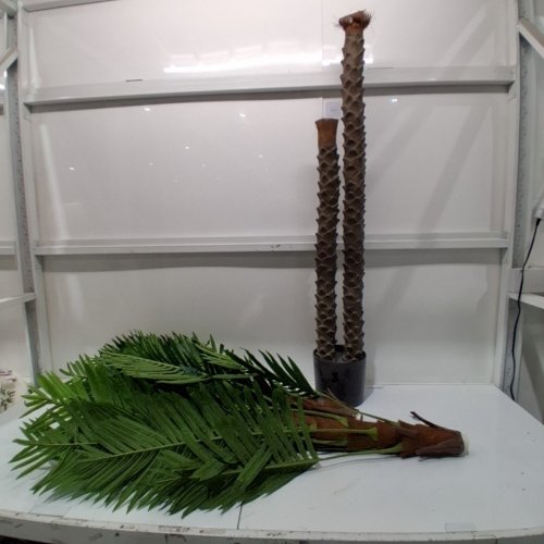 NAFRESH TALL ARTIFICIAL DOUBLE PALM TREE - 8FT - GREEN image 2