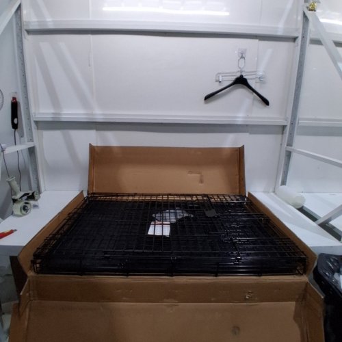 AMAZON BASICS SINGLE DOOR FOLDABLE METAL WIRE DOG CRATE/CAGE/KENNEL WITH TRAY - 42" X 31" X 28" - BLACK image 2