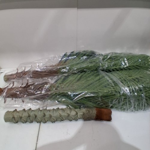 NAFRESH TALL ARTIFICIAL DOUBLE PALM TREE - 10FT - GREEN image 2