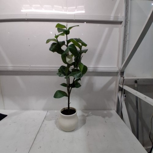THRESHOLD - FAUX FICUS TREE - 42" - CREAM image 3