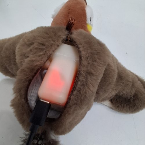 RECHARGEABLE TOUCH ACTIVATED FLAPPING WINGS CAT TOY image 2