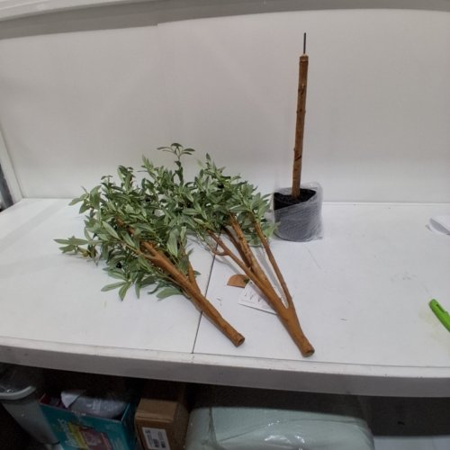BELLACAT FAUX OLIVE TREE 7FT-GREEN- (MODEL:FAUXTOLIVE2504) image 2
