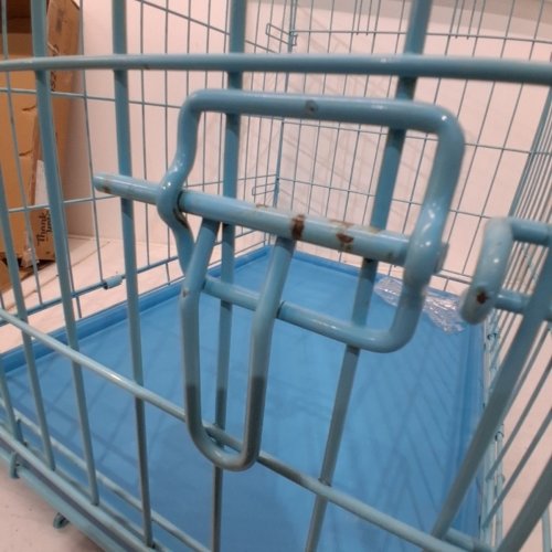 MIDWEST FOLDABLE SMALL METAL DOG CRATE -24" X 18" X 19" - LIGHT BLUE (MODEL: 1524DD) image 3