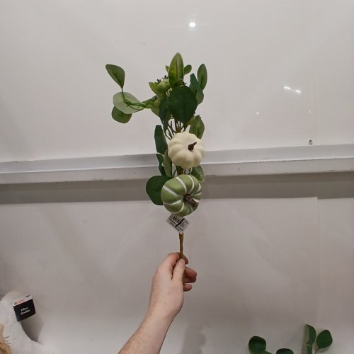 6 DECORATIVE PUMPKIN FLORAL PICKS - GREEN AND WHITE image 3