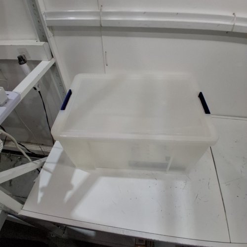BANKERS BOX PLASTIC STORAGE BIN - 70L - CLEAR/BLUE (MODEL: 7731003) image 2