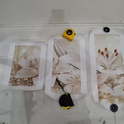 5PC FRIDJA BLOSSOMING FLOWERS CANVAS PANEL WALL ART - WHITE/ORANGE image 3