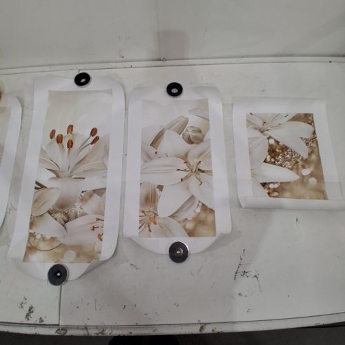 5PC FRIDJA BLOSSOMING FLOWERS CANVAS PANEL WALL ART - WHITE/ORANGE image 4