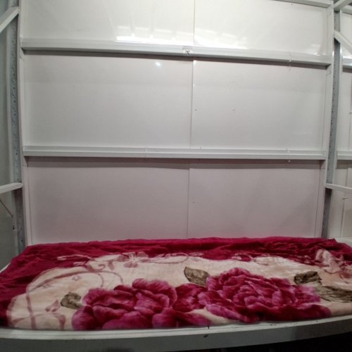 FLORAL PLUSH BLANKET - 59" X 78" - PINK AND RED ROSES image 2