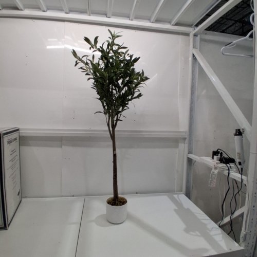 GARVEE ARTIFICIAL OLIVE TREE - 4FT - BLACK/GREEN (PHO_10VQVJ62) image 2