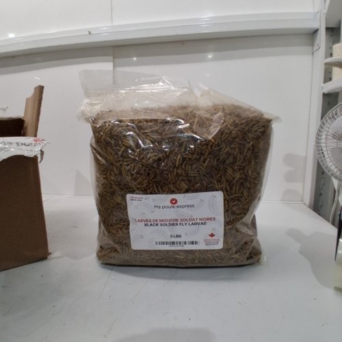 MA POULE EXPRESS DRIED BLACK SOLDIER FLY LARVAE - 5LBS image 2