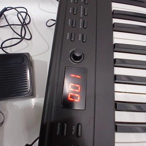 ALESIS RECITALS PLAY DIGITAL KEYBOARD PIANO WIRED/WIRELESS WITH 480 SOUNDS & STAND - BLACK/WHITE (MODEL: RECITALPLAY) image 2