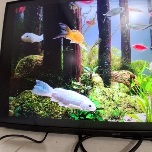 ACER EK1 SERIES FHD MONITOR - 23.8'' - BLACK (MODEL:EK241Y) image 3