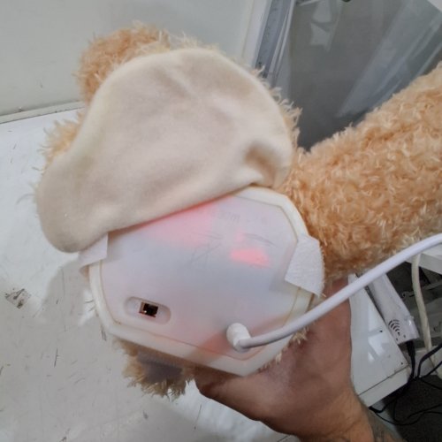 MAIMR7462 TALKING ANIMATED TEDDY BEAR PLUSH TOY - 1 YEAR + - CREAM image 2