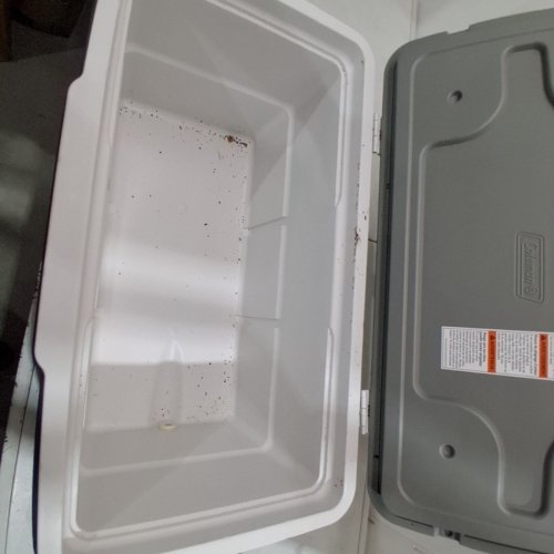 COLEMAN DAINTREE COOLER - 46QT - GREY image 3