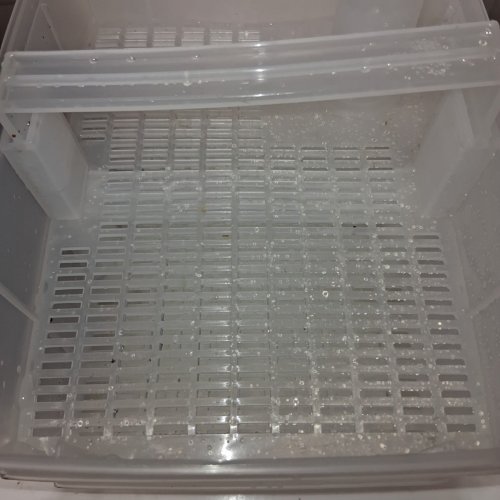 VEVOR 2-STAGE CANISTER AQUARIUM FILTER FOR 75 GAL TANK - 120 V - 264 GPH - 16.5W (MODEL: AQ1000) image 4