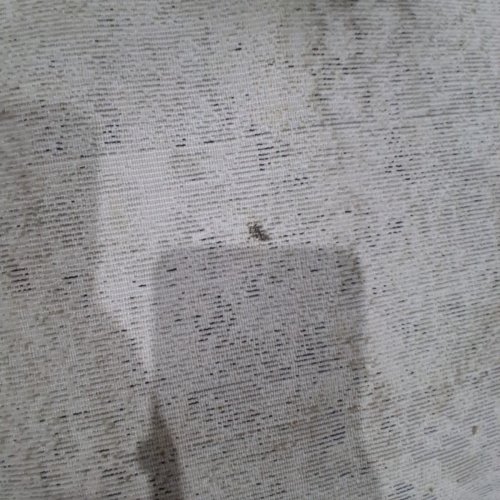 BATHROOM RUG - 24" X 39" - CREAM GREY image 5