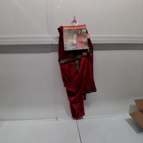 2PC GIRLS GOODMARK RENAISSANCE PRINCESS COSTUME - MEDIUM (8-10) - RED/GOLD image 2