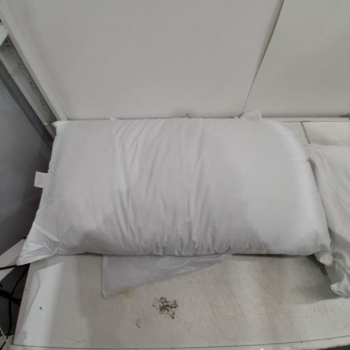 2PK MAINSTAYS MEDIUM FIRM SUPPORT COTTON PILLOW - KING - WHITE (MODEL: 50163572) image 3