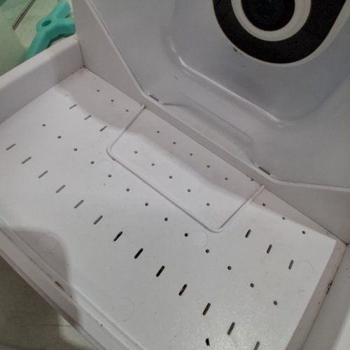 NETVUE SMART BIRD FEEDER CAMERA WITH SOLAR POWER AND BIRDFY AI TO IDENTIFY BIRD SPECIES image 2