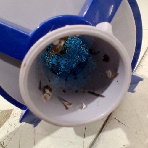 POOL VACUUM LEAF CATCHER CANISTER WITH MESH BAG -LARGE CAPACITY - blue (MODEL: W530) image 3