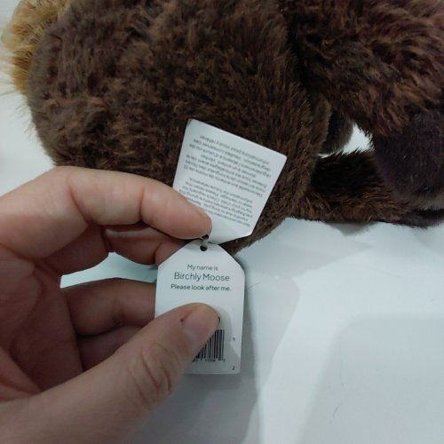 JELLY CAT PLUSH BIRCHLY MOOSE - BROWN image 4