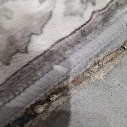 WASHLUXE AREA RUG - 5FT X 7FT - GREY VINTAGE (MODEL: TNC-33717) image 5