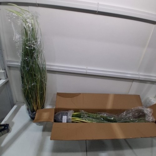 2PK KOL ARTIFICIAL CATTAIL GRASS DECORATION - 3FT - GREEN/BLACK POT (MODEL: D463B02) image 2