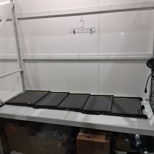 VEEHOO FOLDING PET RAMP - BLACK/GRAY (MODEL: CWPT2607CP30M) image 3