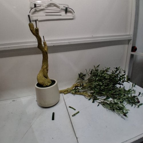 REALEAD ARTIFICIAL FAUX POTTED OLIVE SILK TREE WITH BRANCHES AND FRUITS - 5FT - WHITE image 2