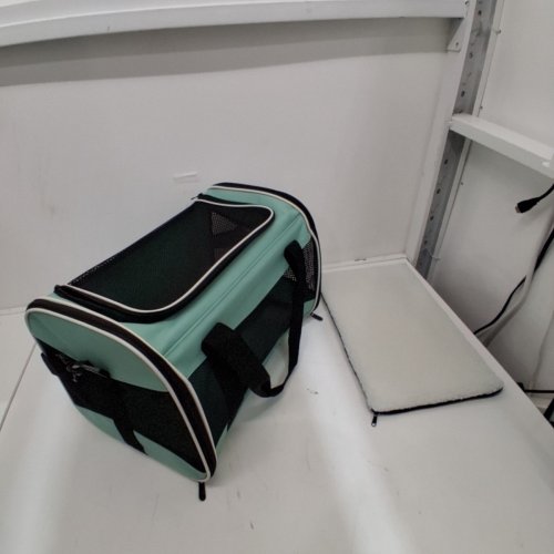 SOFT-SIDED COLLAPSIBLE PET CARRIER BAG - 16.5" X 11.5" X 11" - GREEN/BLACK image 2