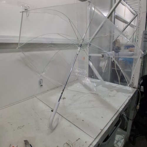 THE WEATHER STATION BUBBLE DOME CLEAR UMBRELLA - 52" - WHITE image 2