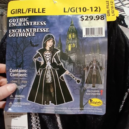 GIRL'S GOTHIC ENCHANTRESS COSTUME DRESS - LARGE - BLACK/SILVER (ITEM: 14777) image 4