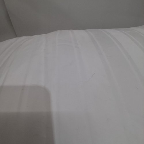 2PK BEAUTYREST 500 THREAD COUNT LUXURY JUMBO PILLOW - 18" X 26" X 2" - WHITE (ITEM: BR210311K) image 4