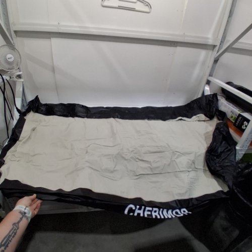 CHERIMOR AIR MATTRESS WITH BUILT-IN PUMP - 18" - FULL - BLACK image 2