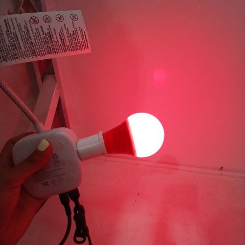 2 (2PK) LAMPTOBE LED SLEEP LIGHT BULBS (4 TOTAL) - A19 - E26 - 9W - RED image 2