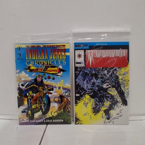 4 ASSTD VALIANT, DARK HORSE, AND DC COMIC BOOKS - SHADOWMAN #4, YOUNG INDIANA JONES CHRONICLES #5, TERMINATOR THE ENEMY WITHIN #2 OF 4, DEATHSTROKE THE TERMINATOR #16 image 4