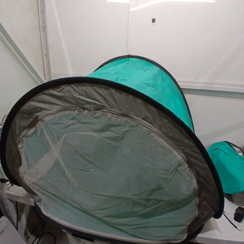 BBLÜV SUNKITÖ PORTABLE ANTI-UV POP-UP TENT WITH MOSQUITO NET - SPF 50 SUN PROTECTION - BLUE/GREY image 3