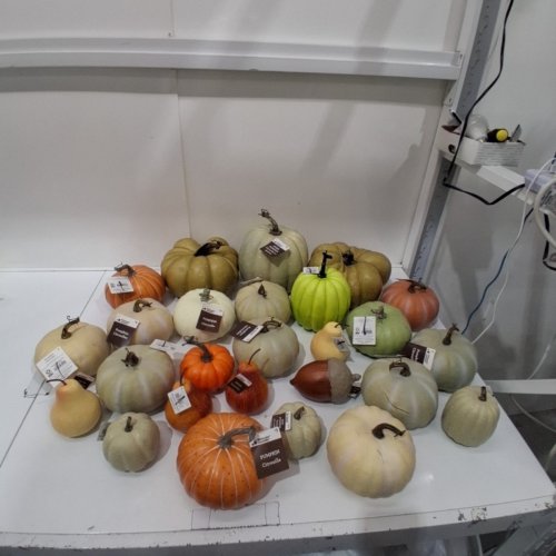26PC DECORATIVE ASSORTED PUMPKINS AND GOURDS - MULTICOLOUR image 2