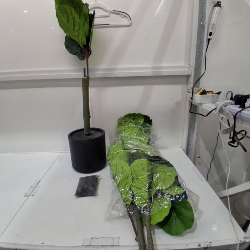 TNGGNT ARTIFICIAL FIDDLE LEAF FIG TREE - 5FT, LARGE LEAVES, NATURAL TRUNKS & PEBBLES - BLACK PLANTER (MODEL: B-CDE-QYR-5FT) image 2